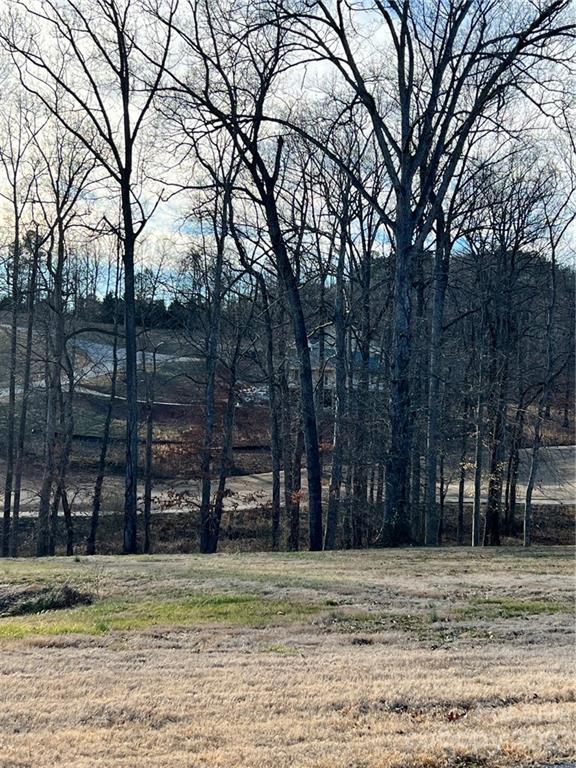 4254 Plantation Drive Morganton NC 28655