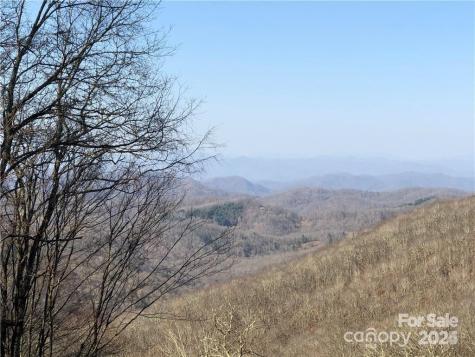 285 Granny Lewis Lane Mars Hill NC 28754