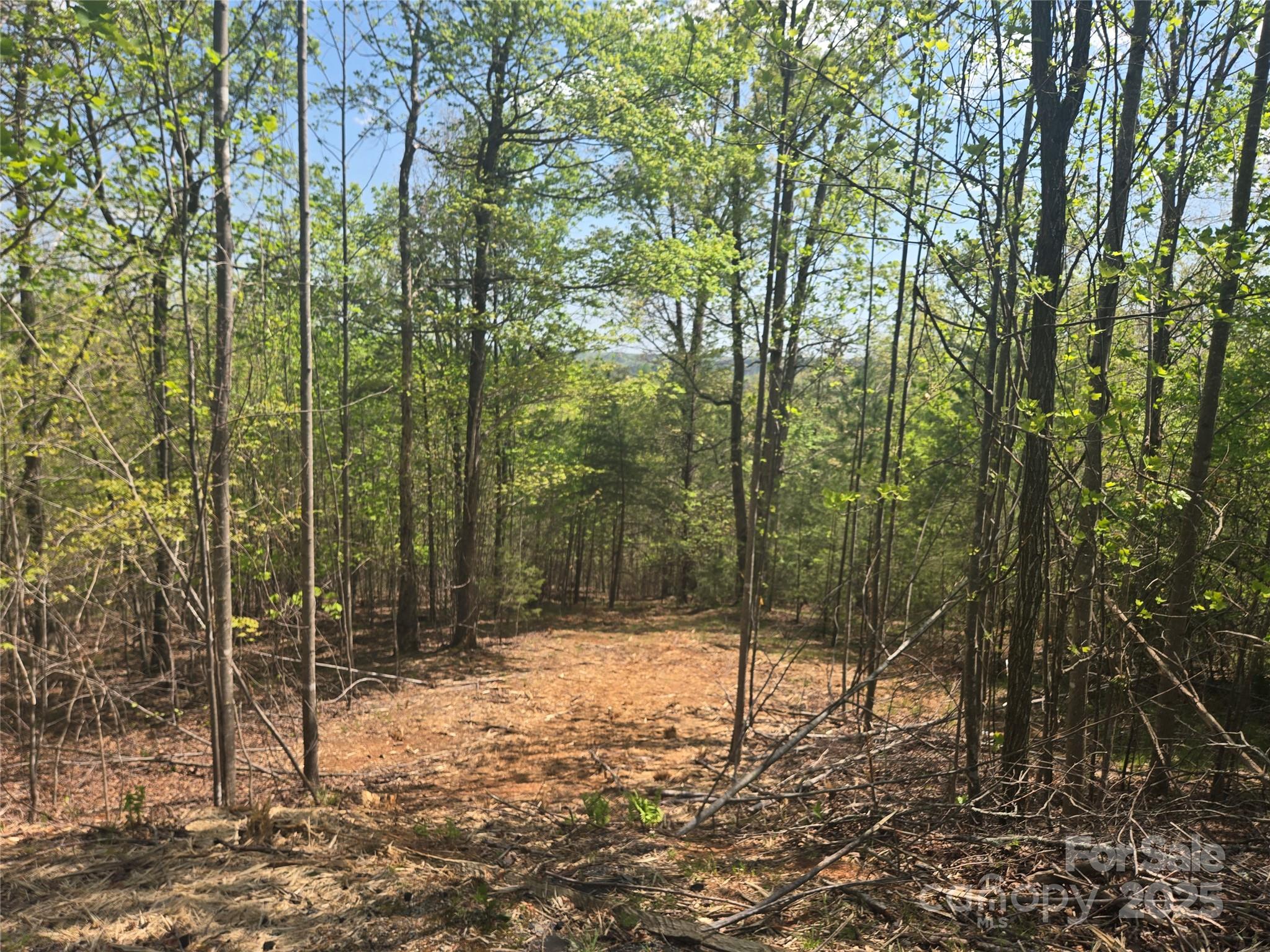 Lot 13 Back Hollow Drive Lake Lure NC 28746