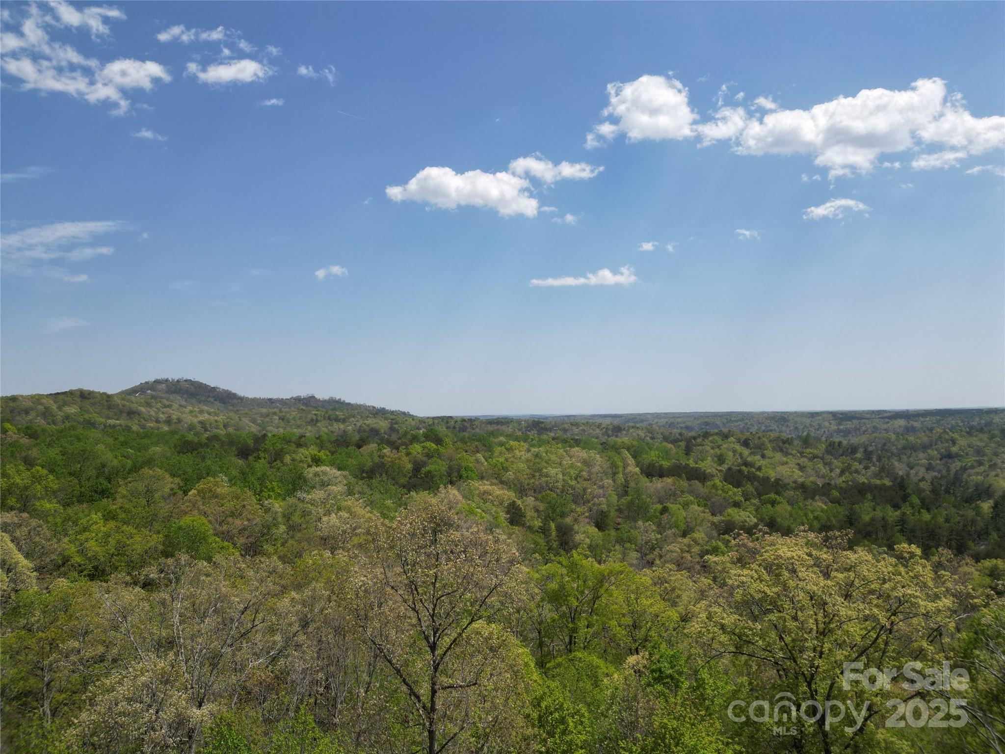 Lot 13 Back Hollow Drive Lake Lure NC 28746