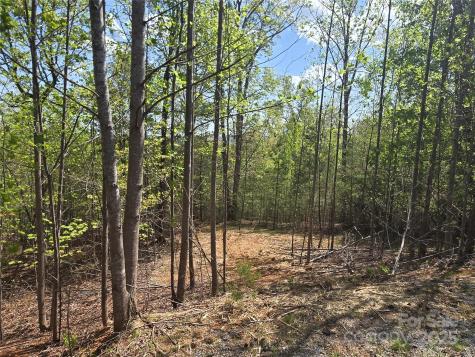 Lot 13 Back Hollow Drive Lake Lure NC 28746