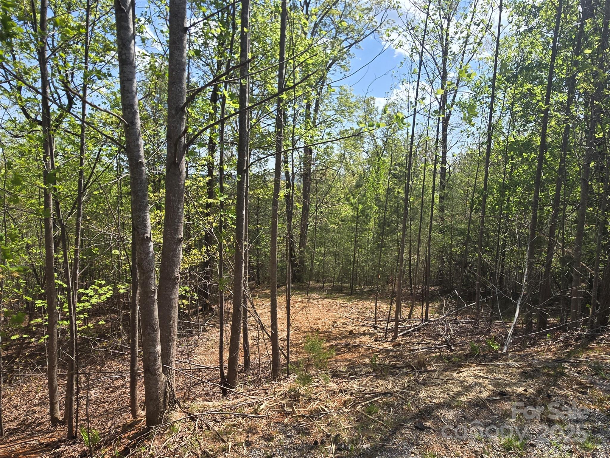 Lot 13 Back Hollow Drive Lake Lure NC 28746