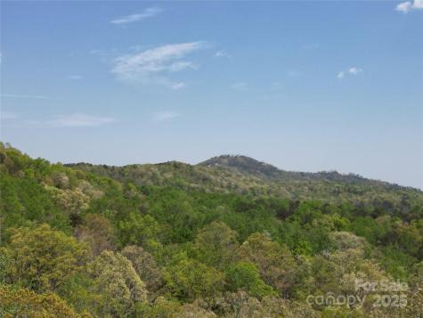 Lot 13 Back Hollow Drive Lake Lure NC 28746