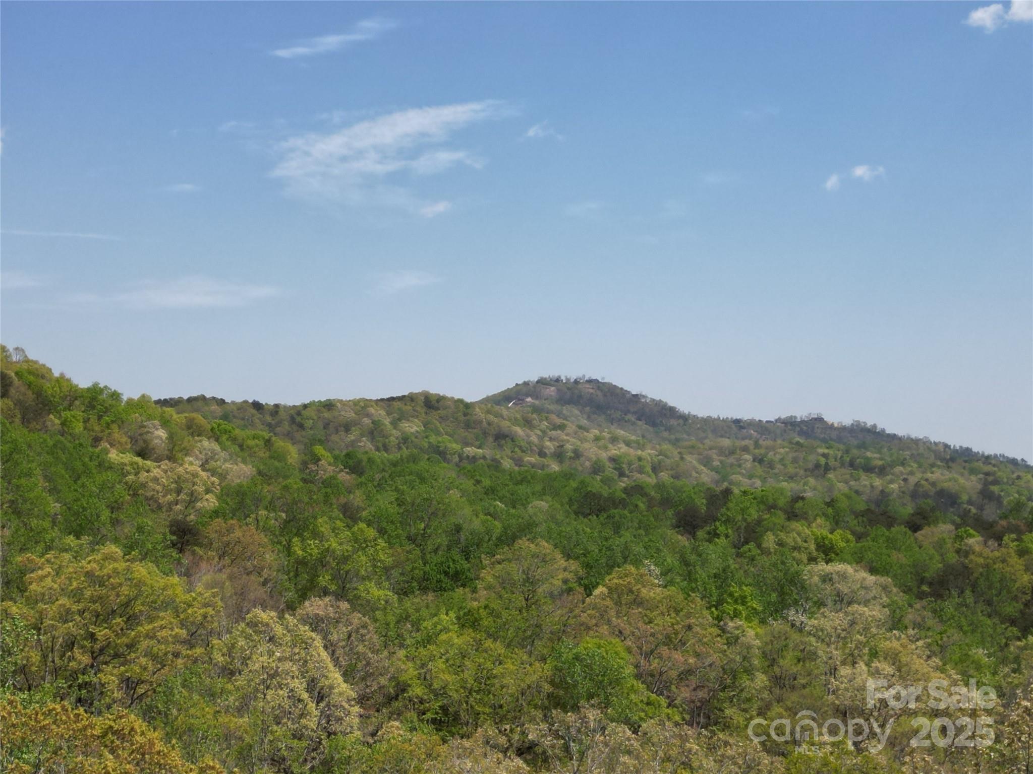 Lot 13 Back Hollow Drive Lake Lure NC 28746