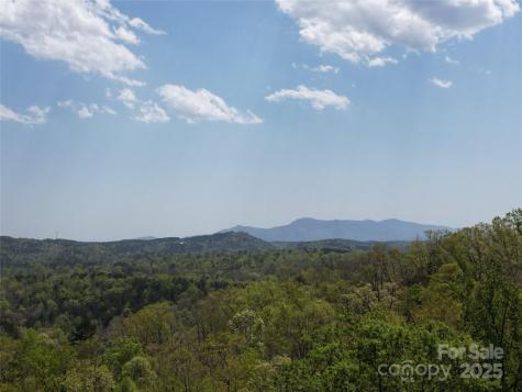Lot 13 Back Hollow Drive Lake Lure NC 28746