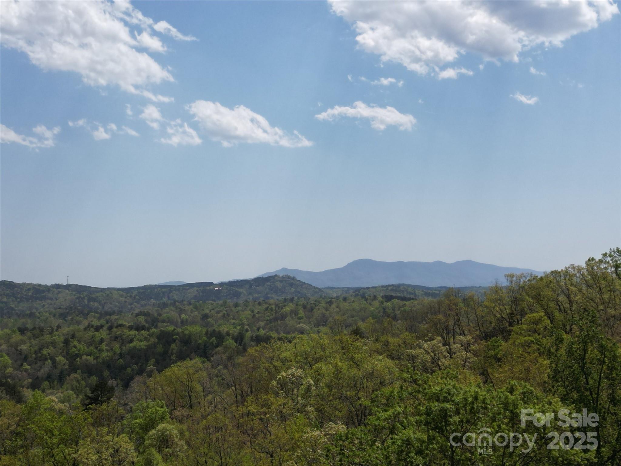 Lot 13 Back Hollow Drive Lake Lure NC 28746