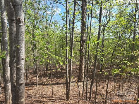 Lot 13 Back Hollow Drive Lake Lure NC 28746