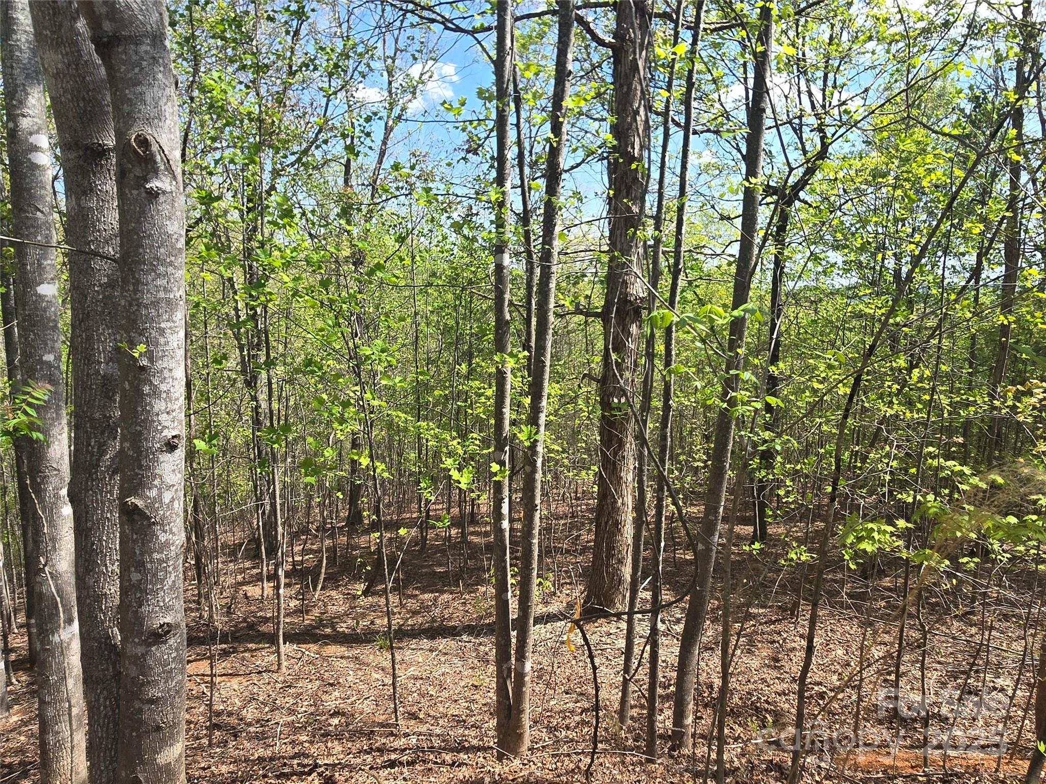 Lot 13 Back Hollow Drive Lake Lure NC 28746