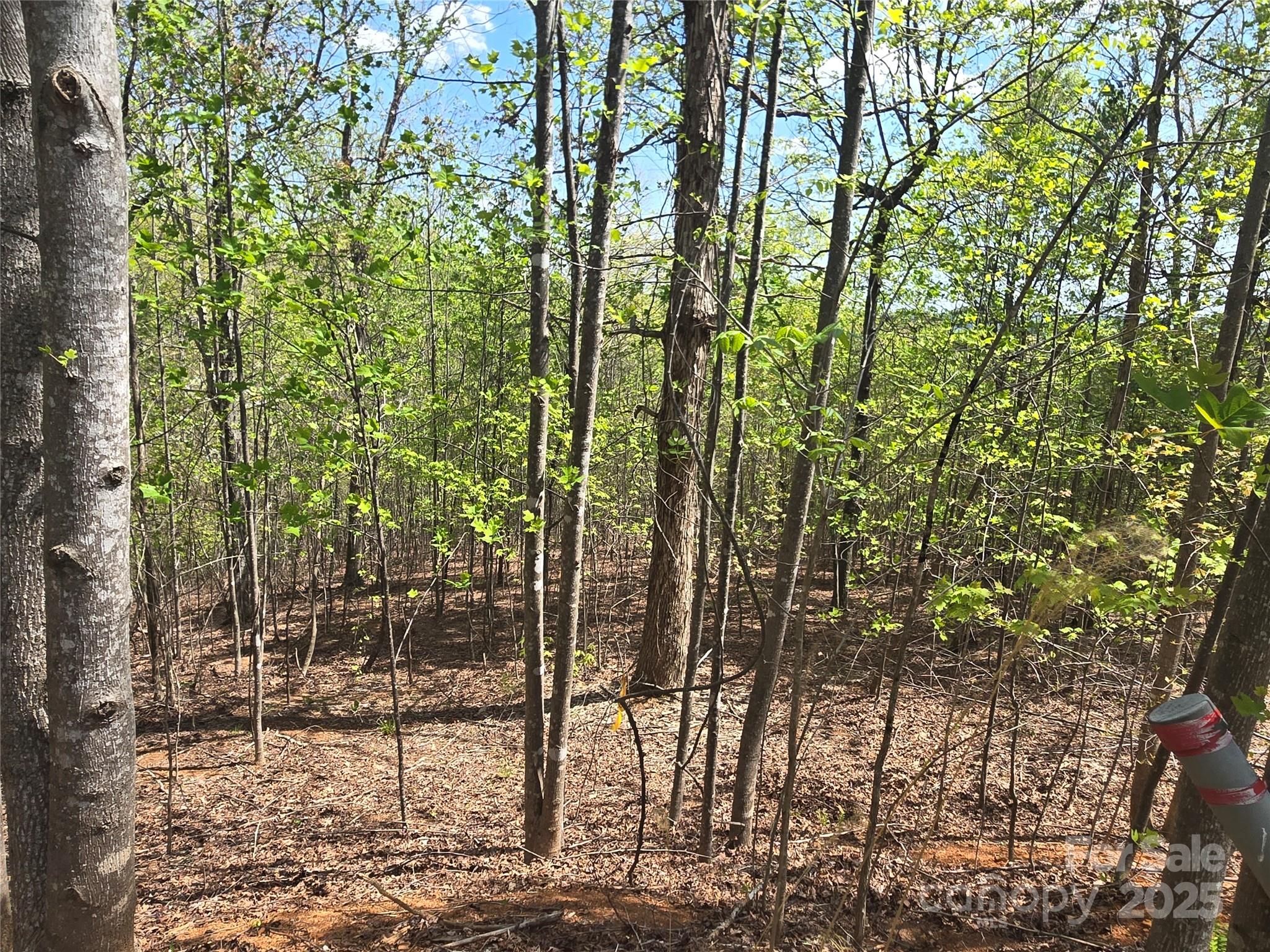 Lot 13 Back Hollow Drive Lake Lure NC 28746
