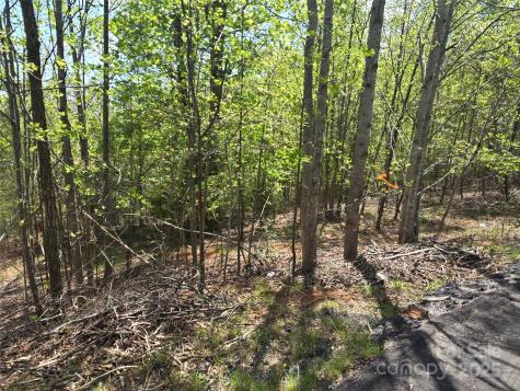 Lot 13 Back Hollow Drive Lake Lure NC 28746