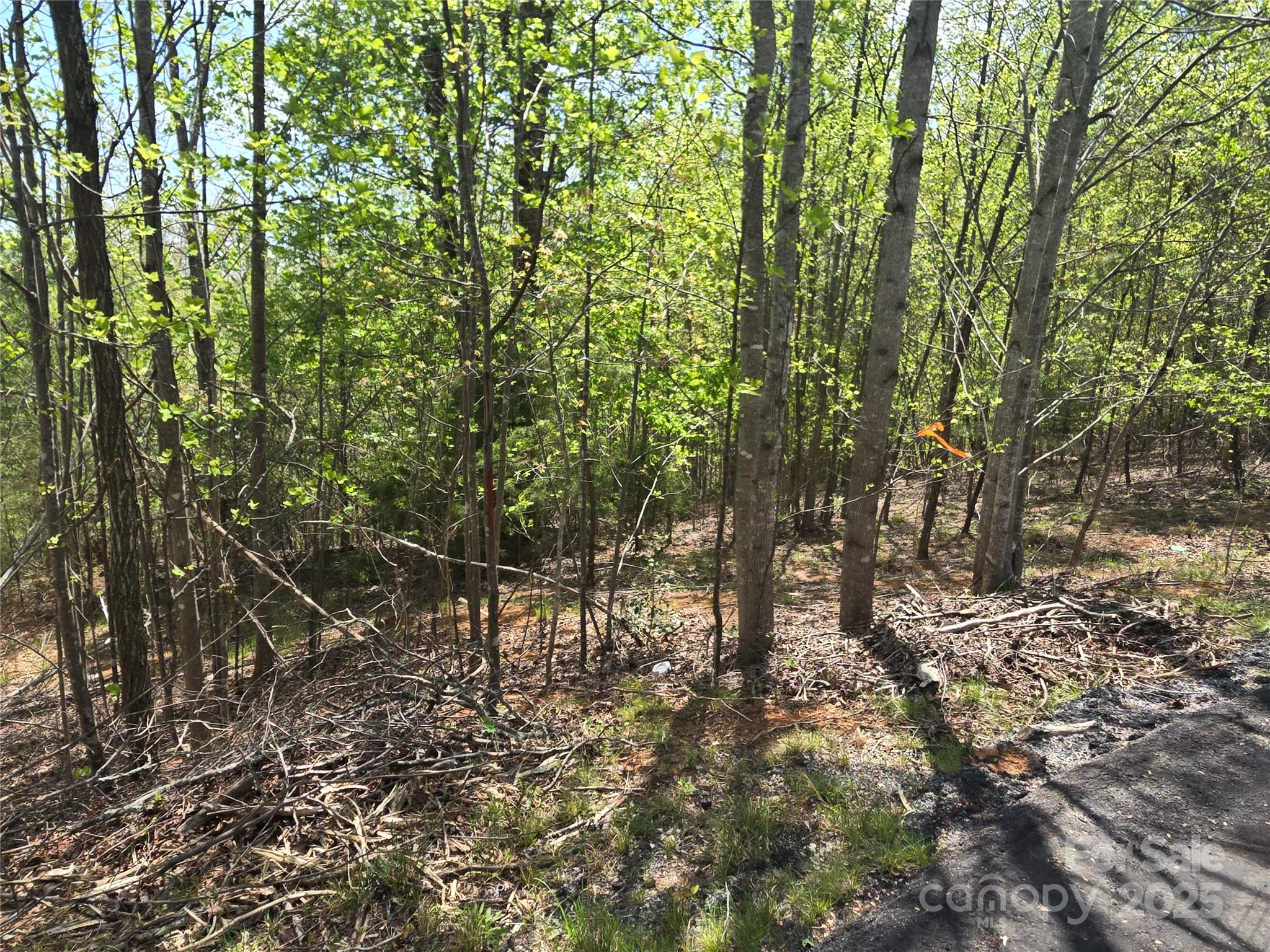 Lot 13 Back Hollow Drive Lake Lure NC 28746