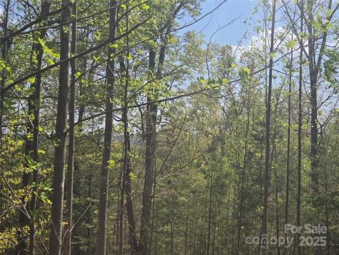 Lot 13 Back Hollow Drive Lake Lure NC 28746