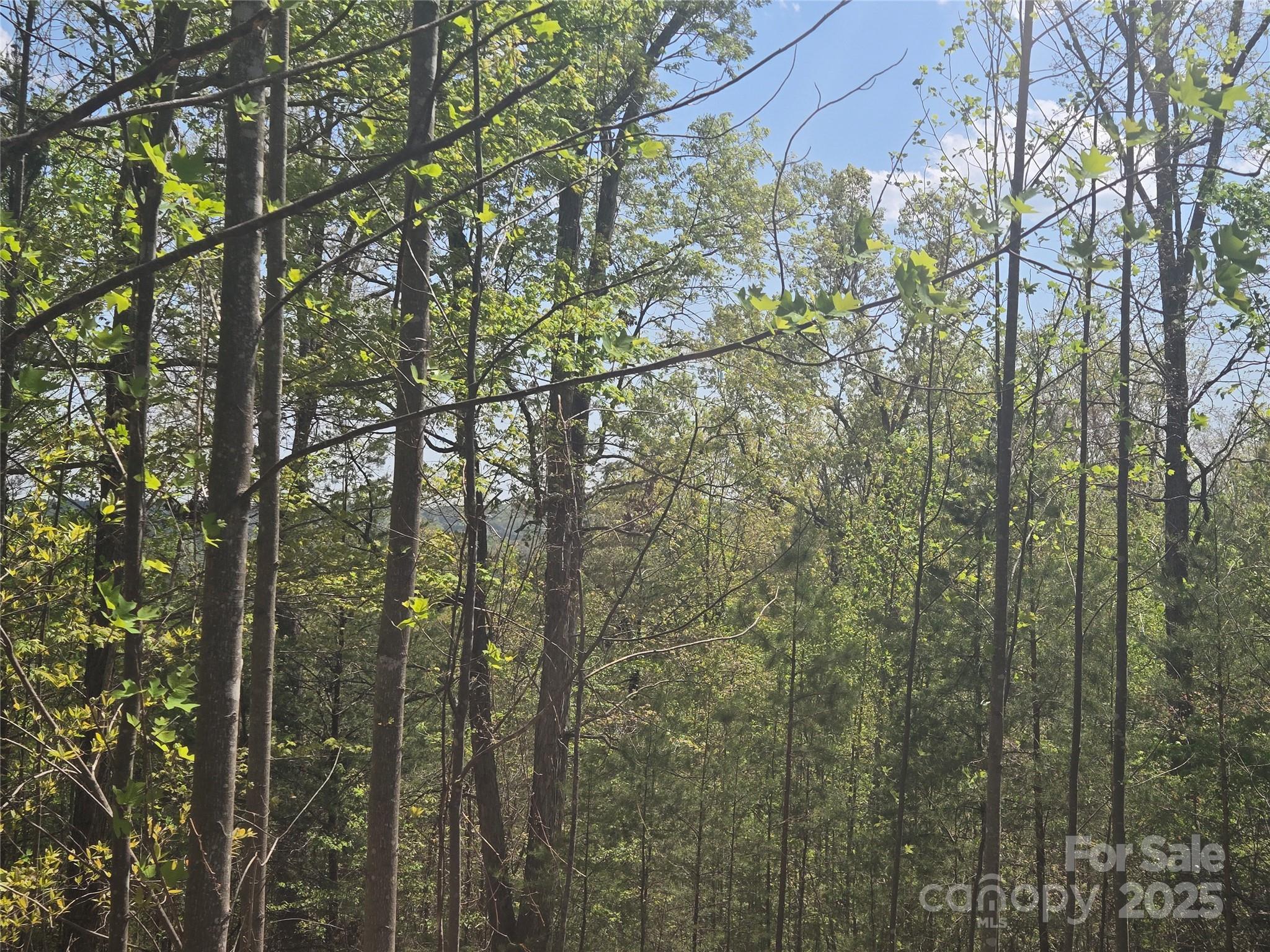 Lot 13 Back Hollow Drive Lake Lure NC 28746