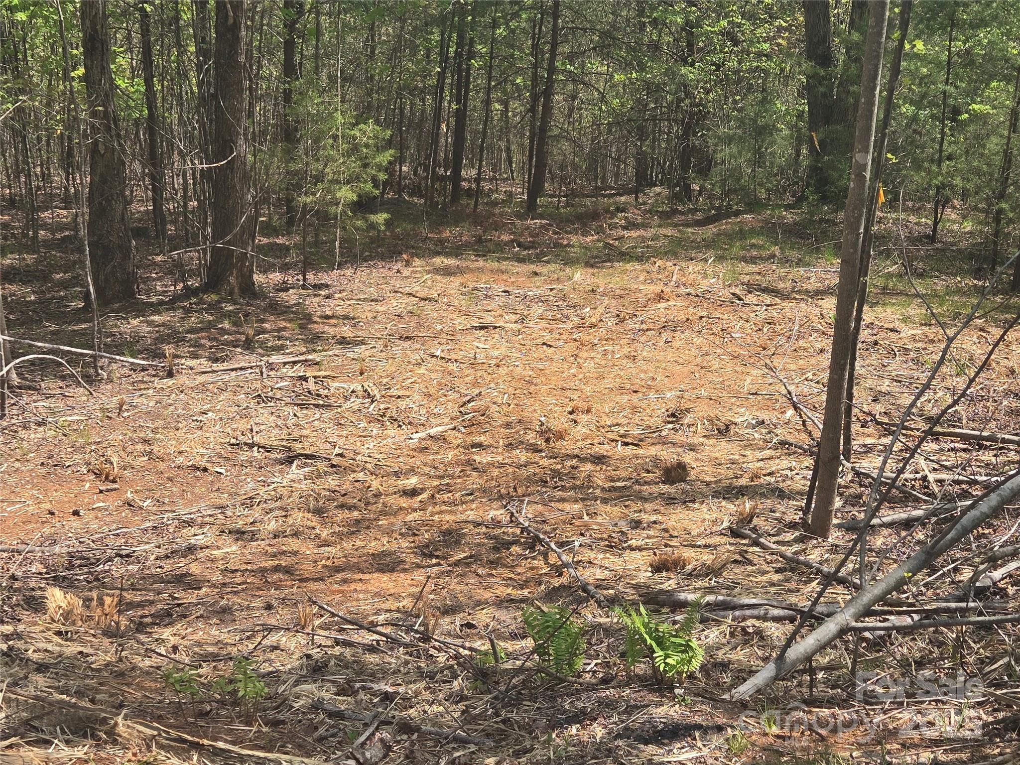 Lot 13 Back Hollow Drive Lake Lure NC 28746