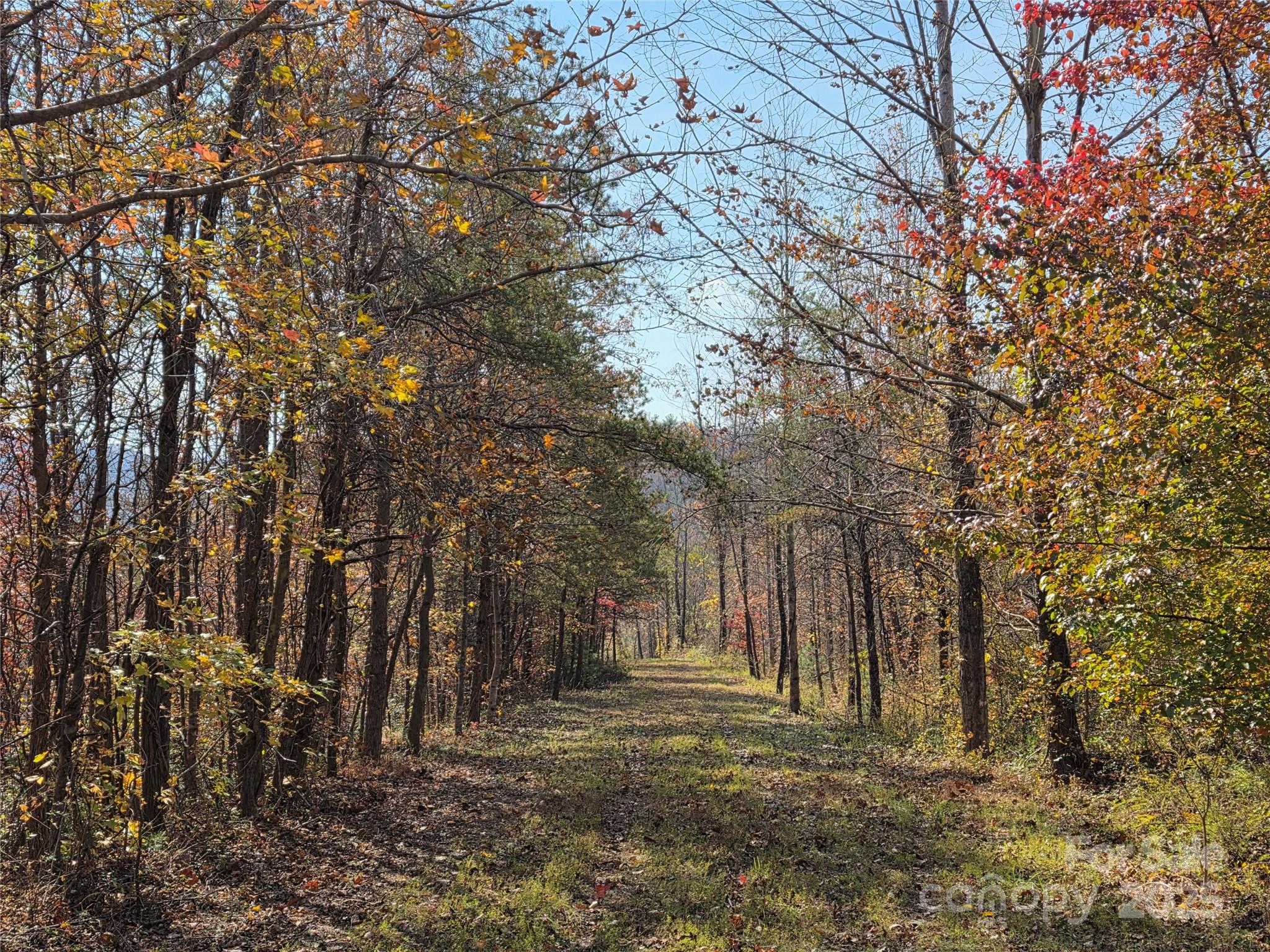 00 Highway 221 Highway N Marion NC 28752
