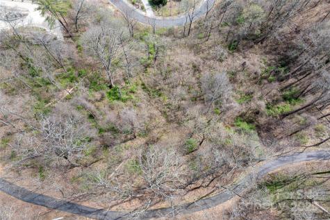 12 Grovepoint Way Asheville NC 28804