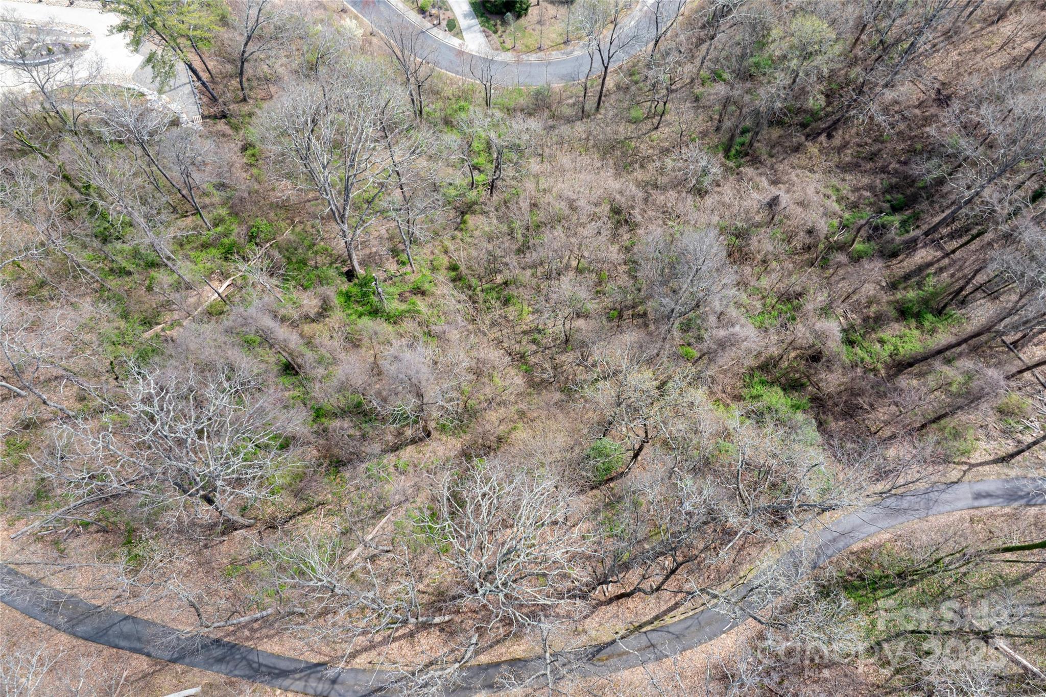 12 Grovepoint Way Asheville NC 28804