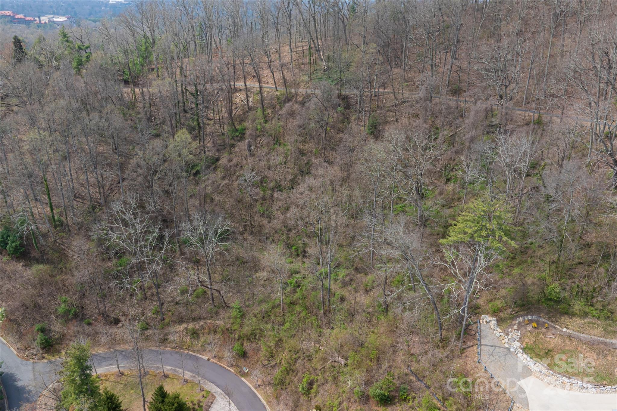 12 Grovepoint Way Asheville NC 28804
