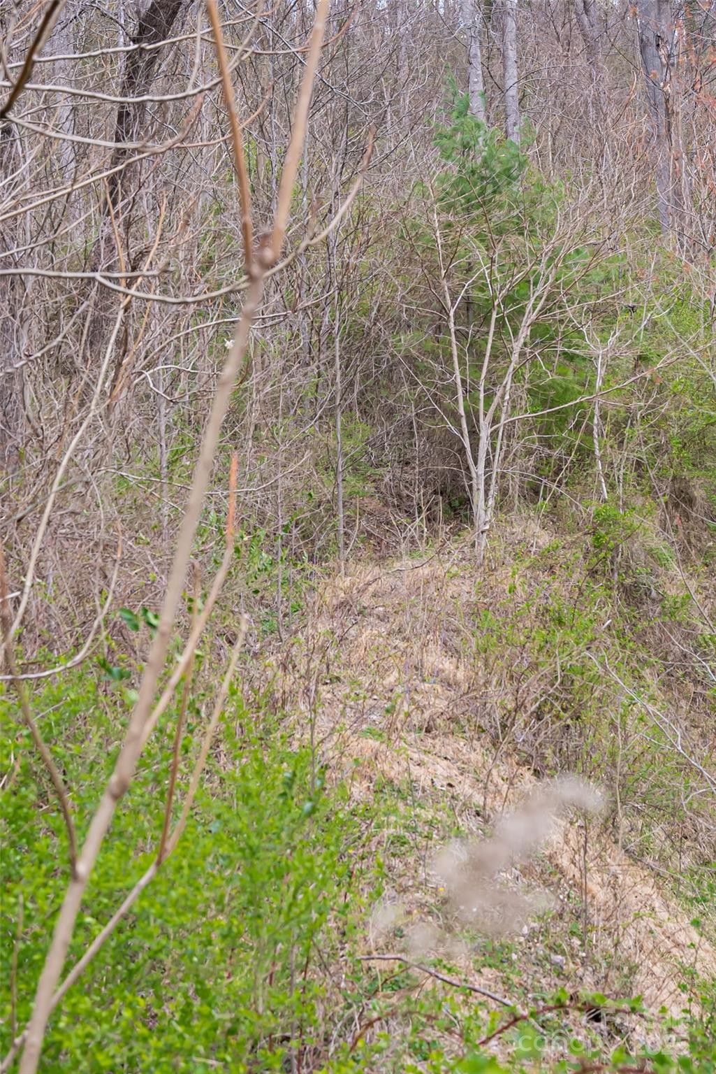 12 Grovepoint Way Asheville NC 28804
