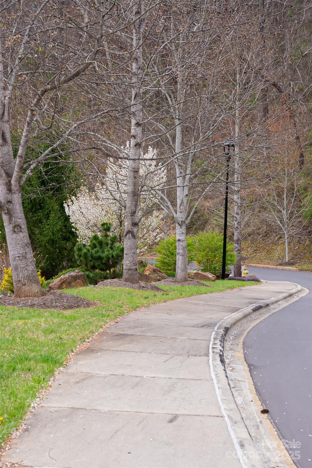 12 Grovepoint Way Asheville NC 28804