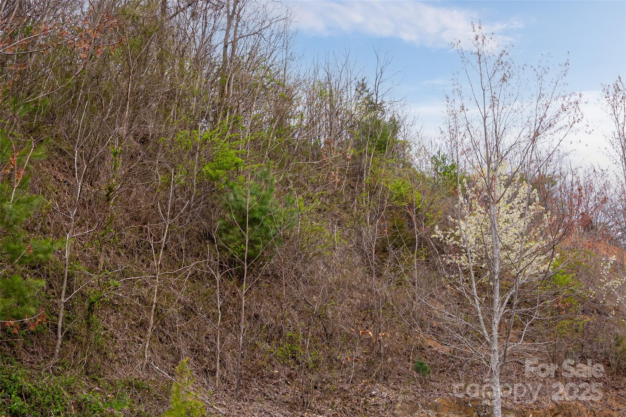 12 Grovepoint Way Asheville NC 28804