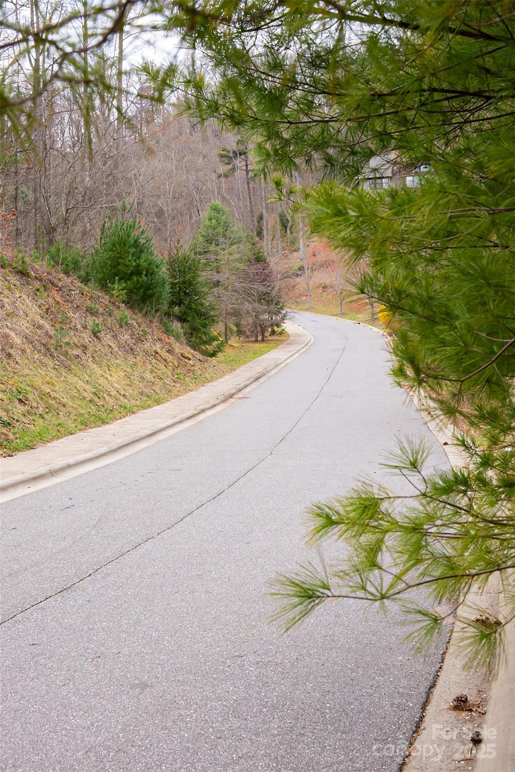 12 Grovepoint Way Asheville NC 28804