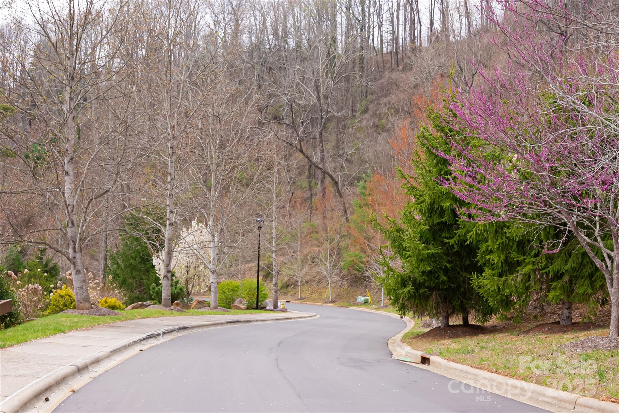 12 Grovepoint Way Asheville NC 28804