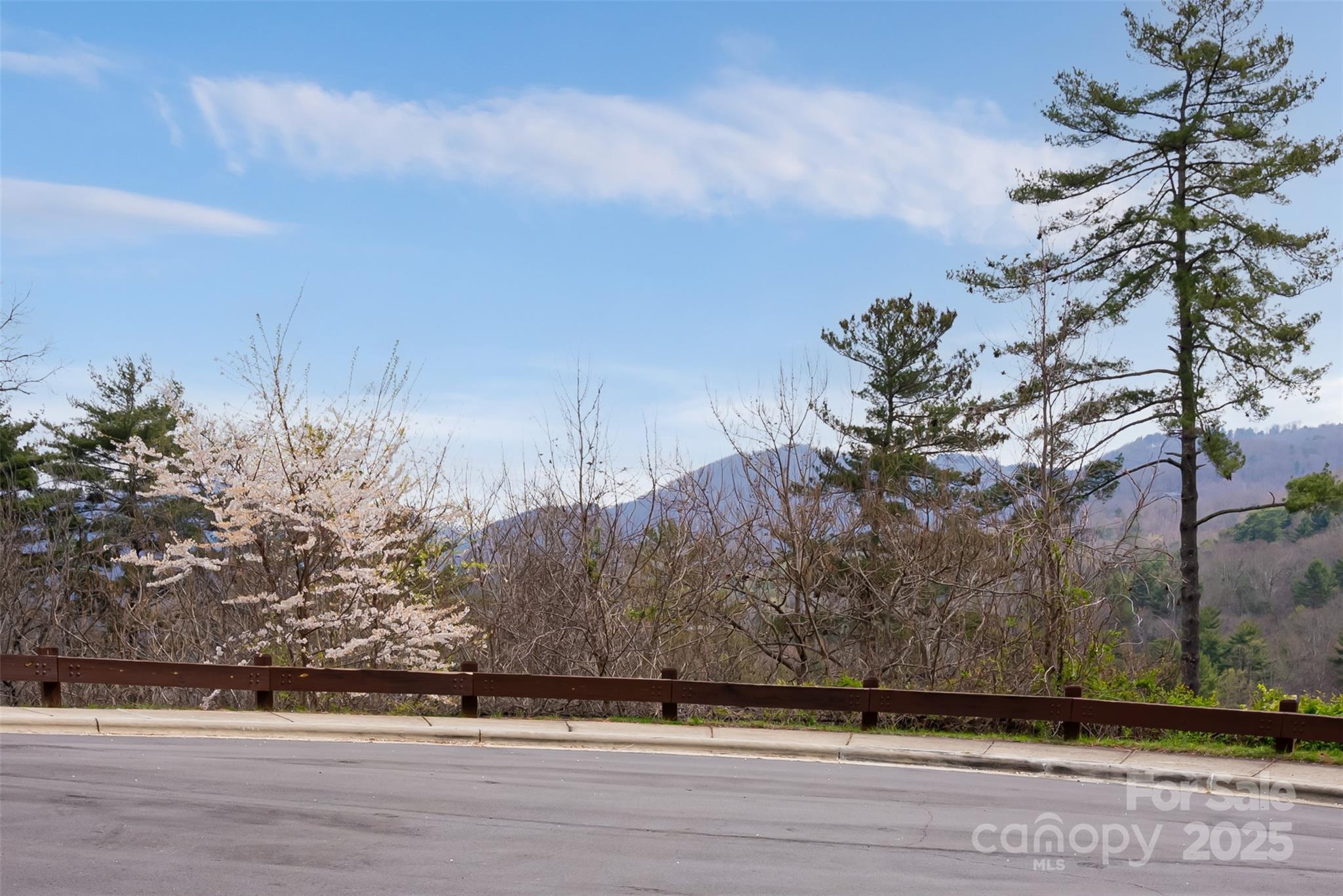 12 Grovepoint Way Asheville NC 28804