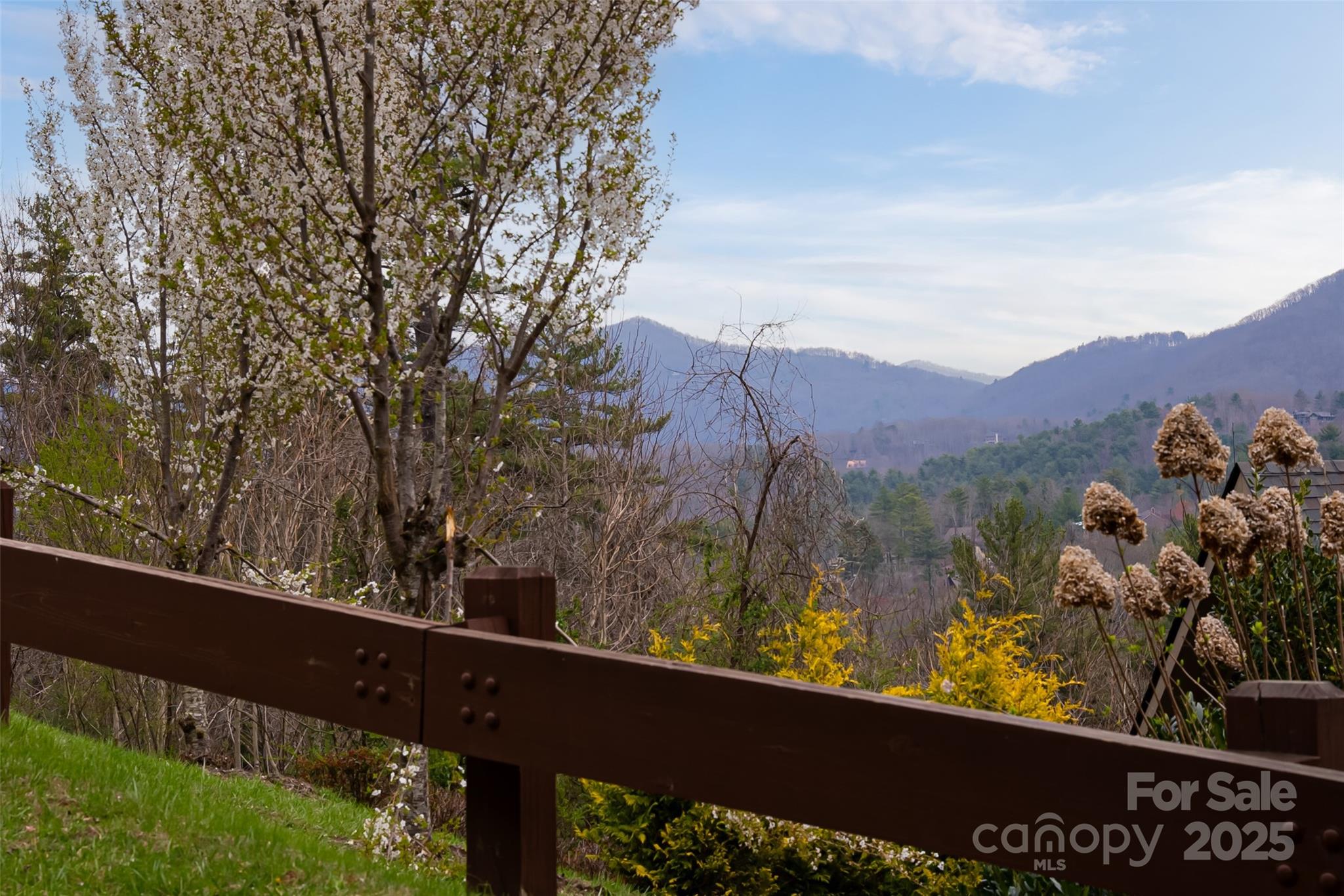 12 Grovepoint Way Asheville NC 28804