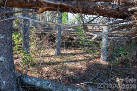 0000 Three Forks Lane Granite Falls NC 28630