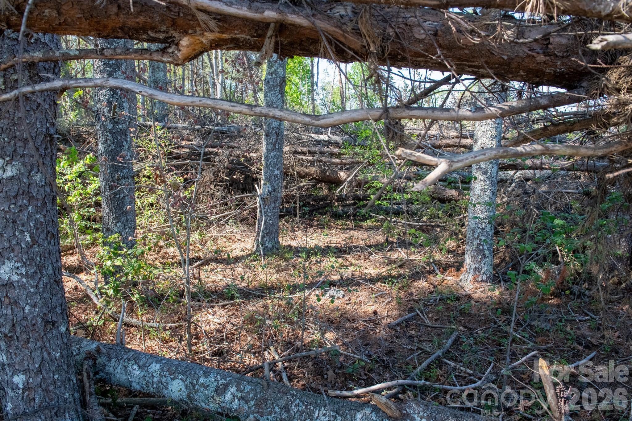 0000 Three Forks Lane Granite Falls NC 28630