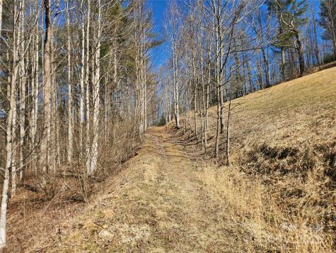 6033 Highway 321 Highway Sugar Grove NC 28679