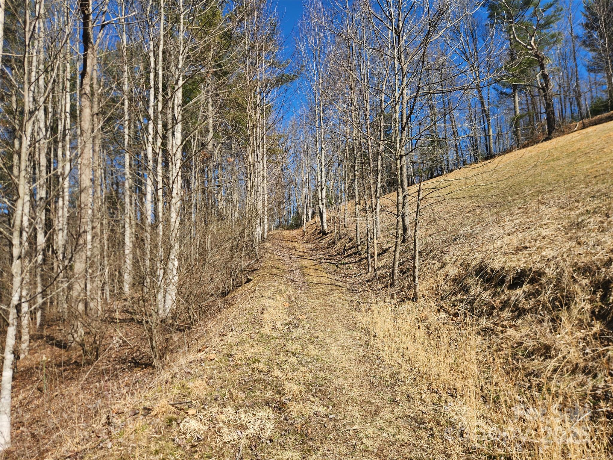 6033 Highway 321 Highway Sugar Grove NC 28679