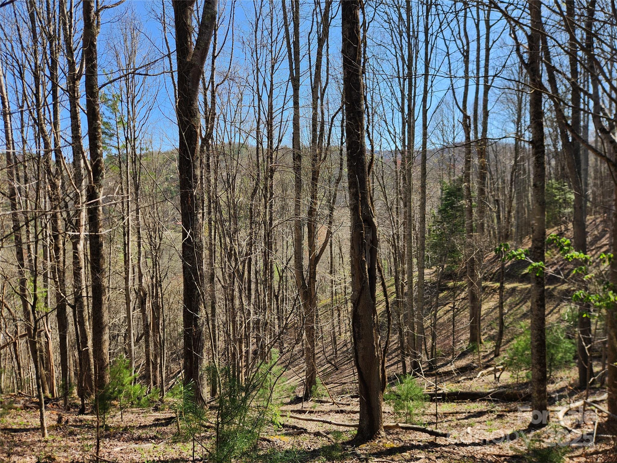 6033 Highway 321 Highway Sugar Grove NC 28679