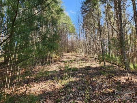 6033 Highway 321 Highway Sugar Grove NC 28679