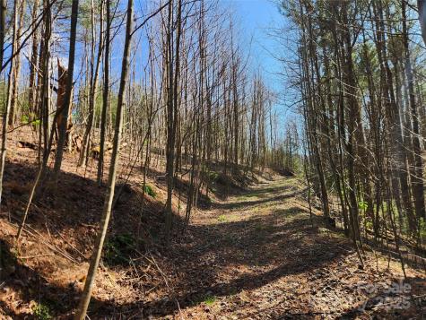 6033 Highway 321 Highway Sugar Grove NC 28679