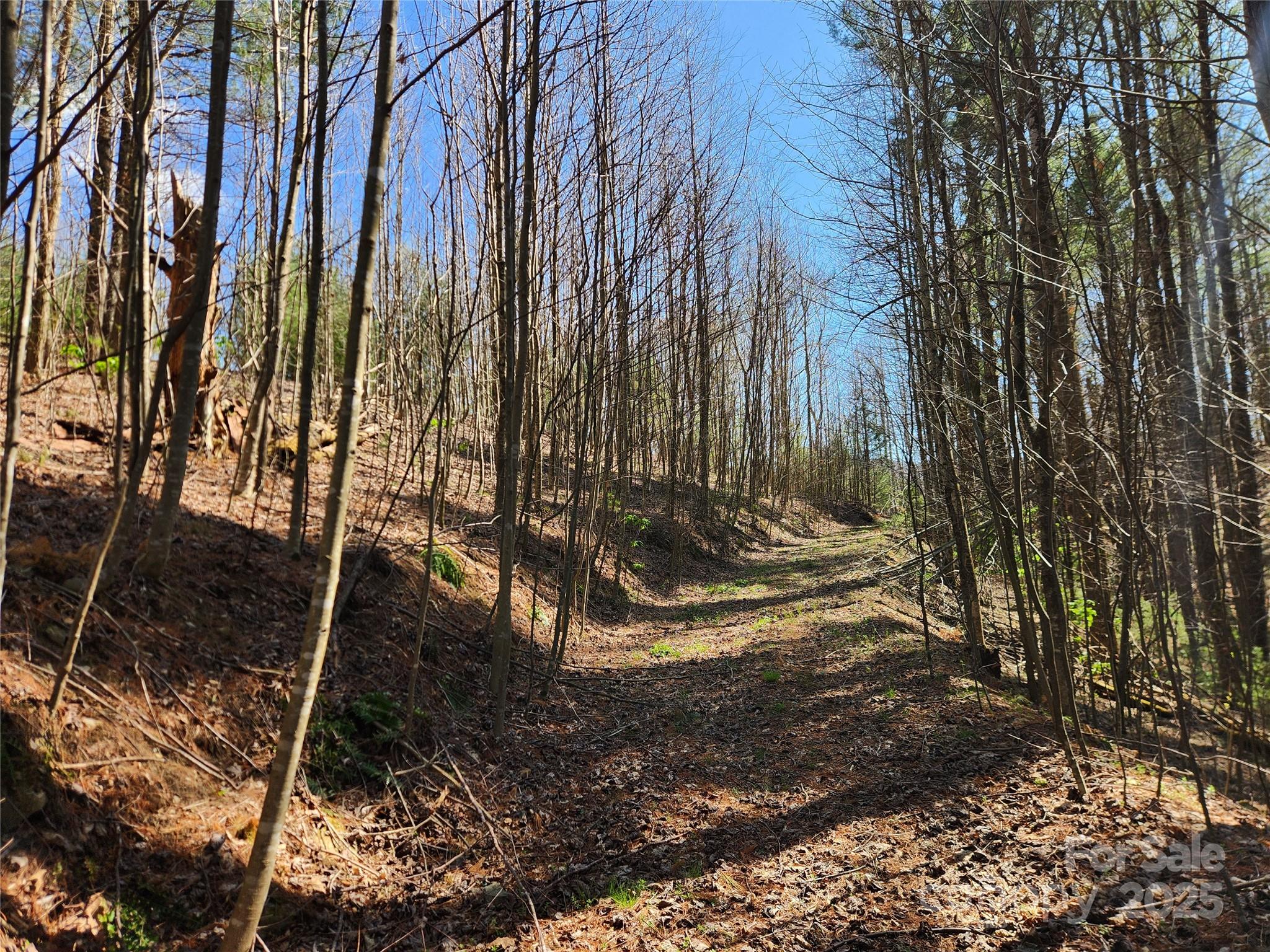 6033 Highway 321 Highway Sugar Grove NC 28679