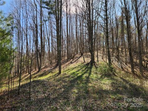 6033 Highway 321 Highway Sugar Grove NC 28679