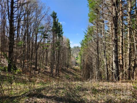 6033 Highway 321 Highway Sugar Grove NC 28679