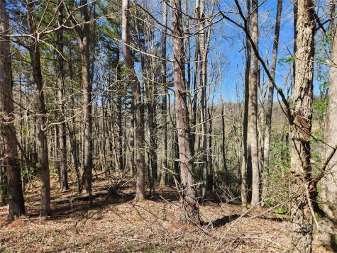 6033 Highway 321 Highway Sugar Grove NC 28679