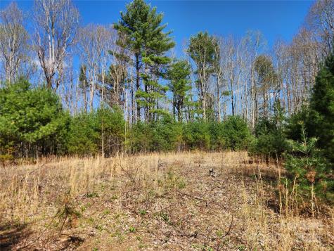 6033 Highway 321 Highway Sugar Grove NC 28679