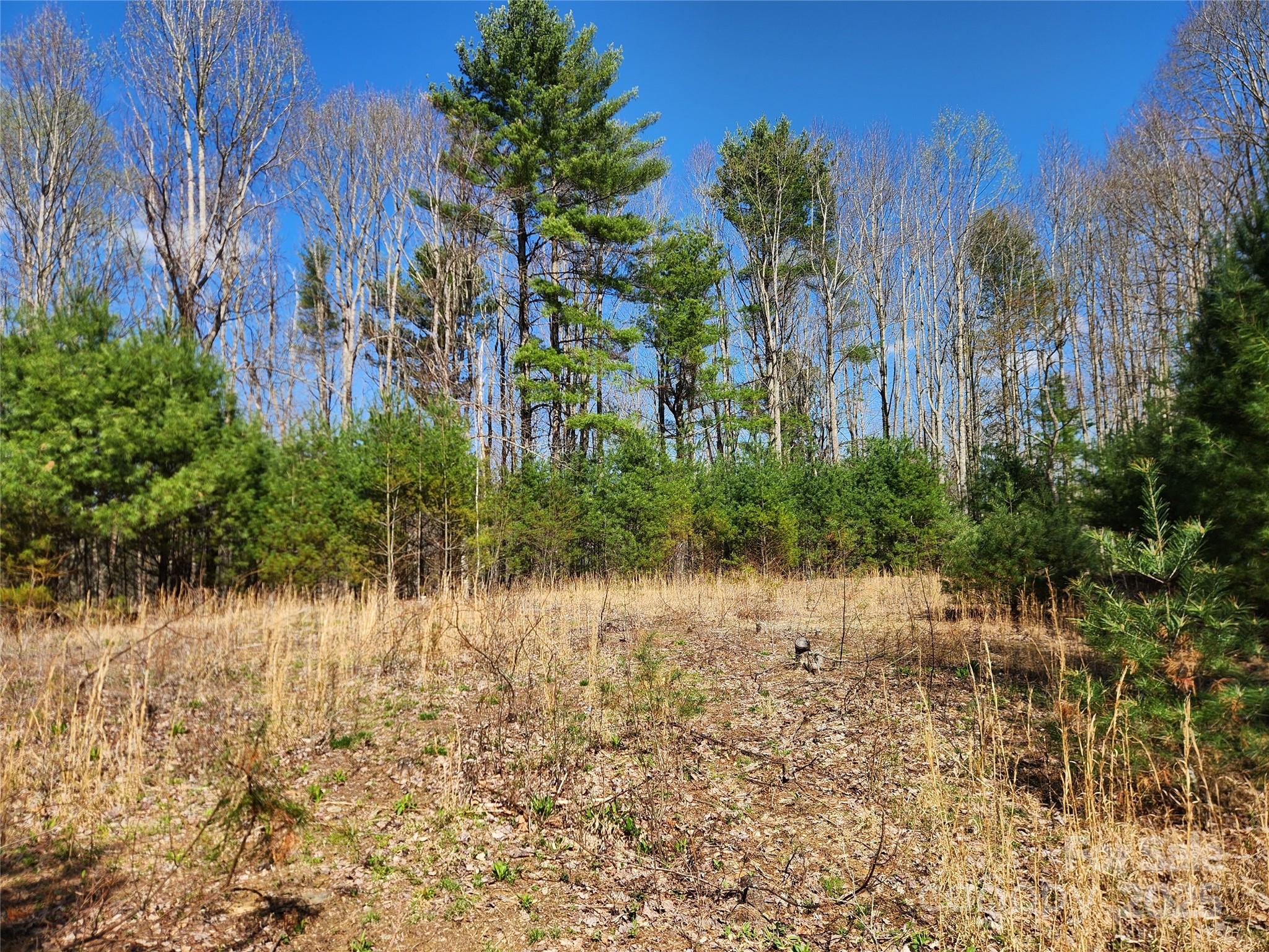 6033 Highway 321 Highway Sugar Grove NC 28679