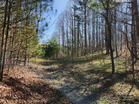 6033 Highway 321 Highway Sugar Grove NC 28679