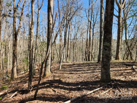 6033 Highway 321 Highway Sugar Grove NC 28679