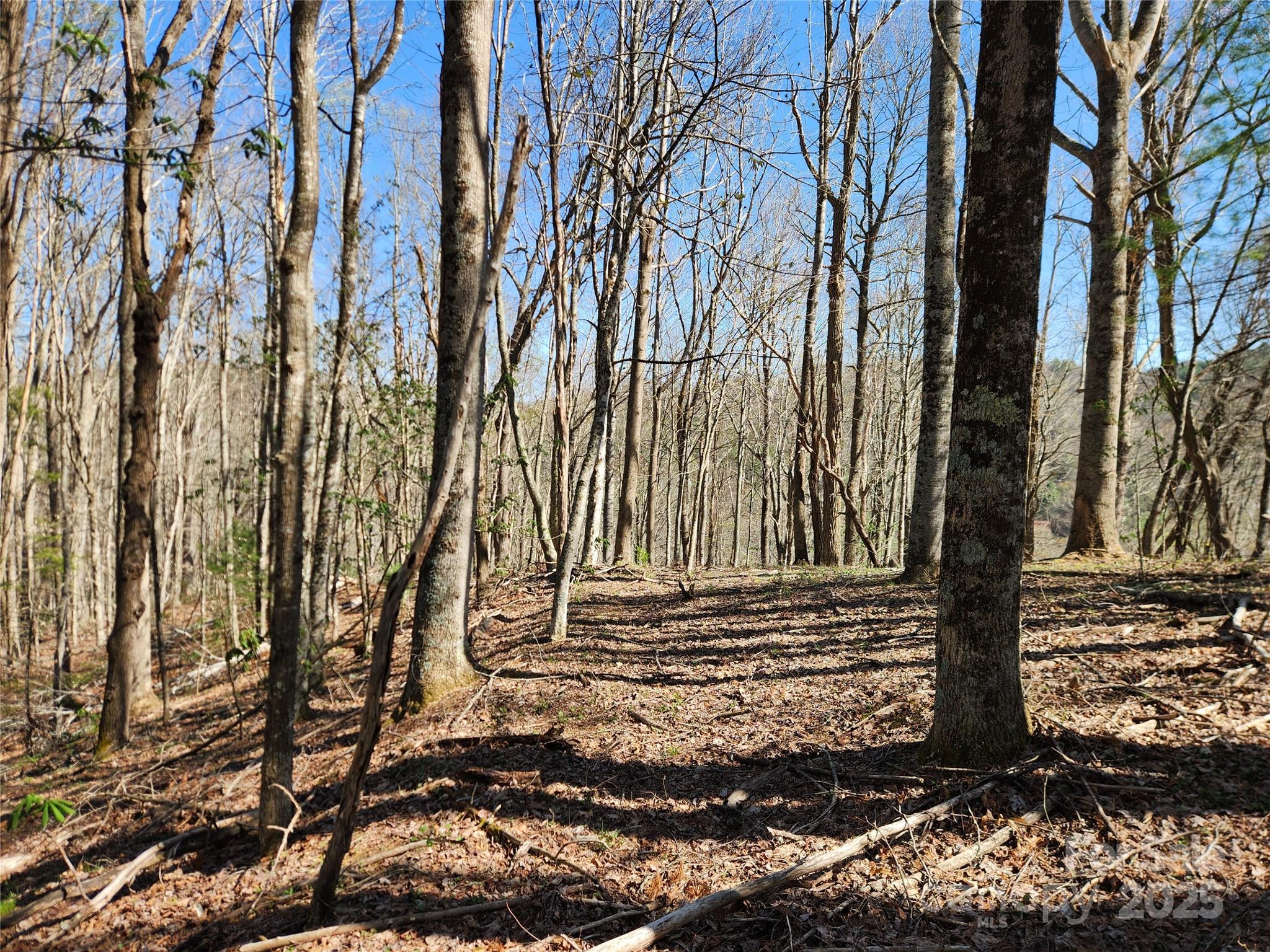 6033 Highway 321 Highway Sugar Grove NC 28679