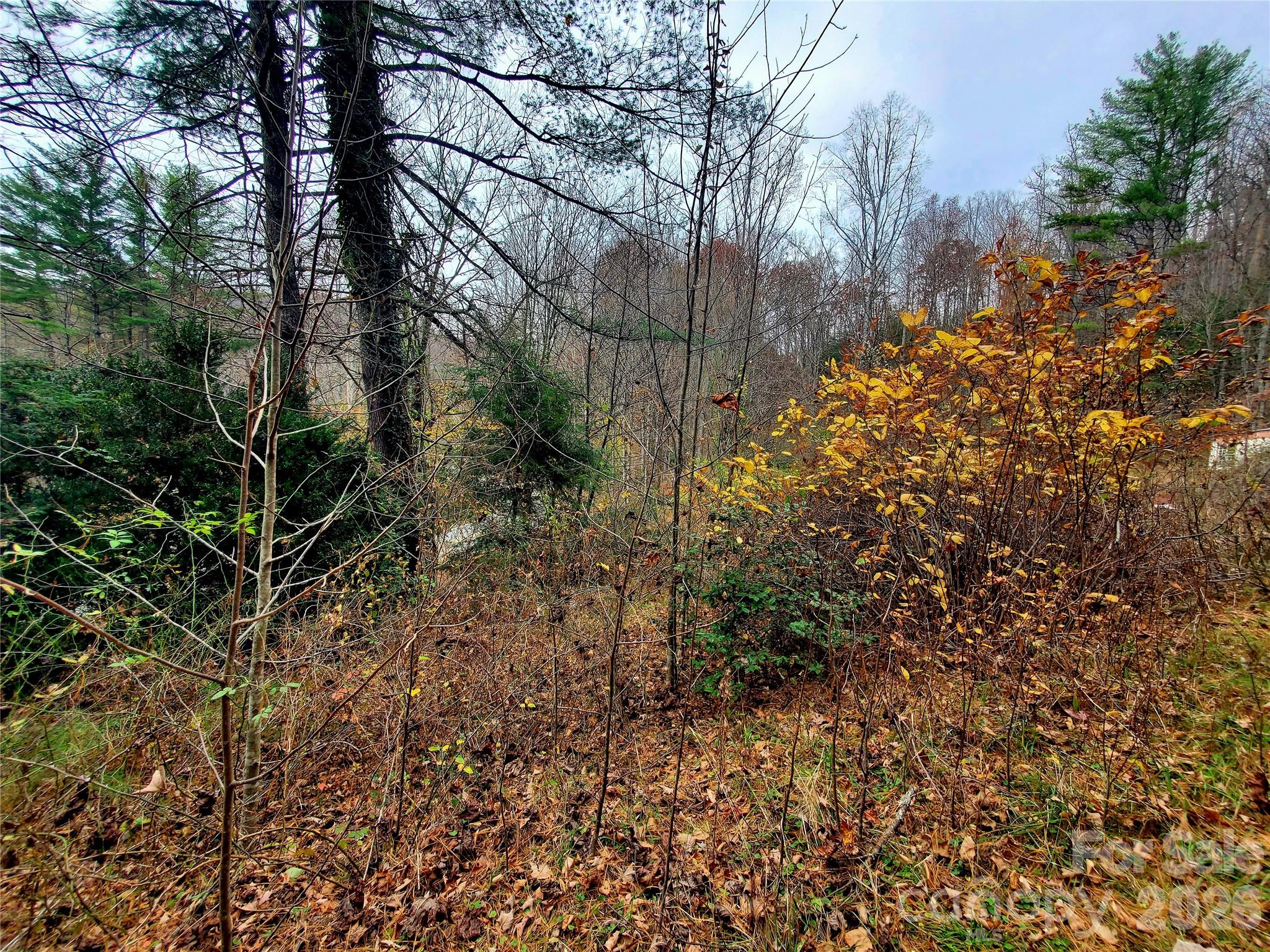 2701 Gouges Creek Road Spruce Pine NC 28777