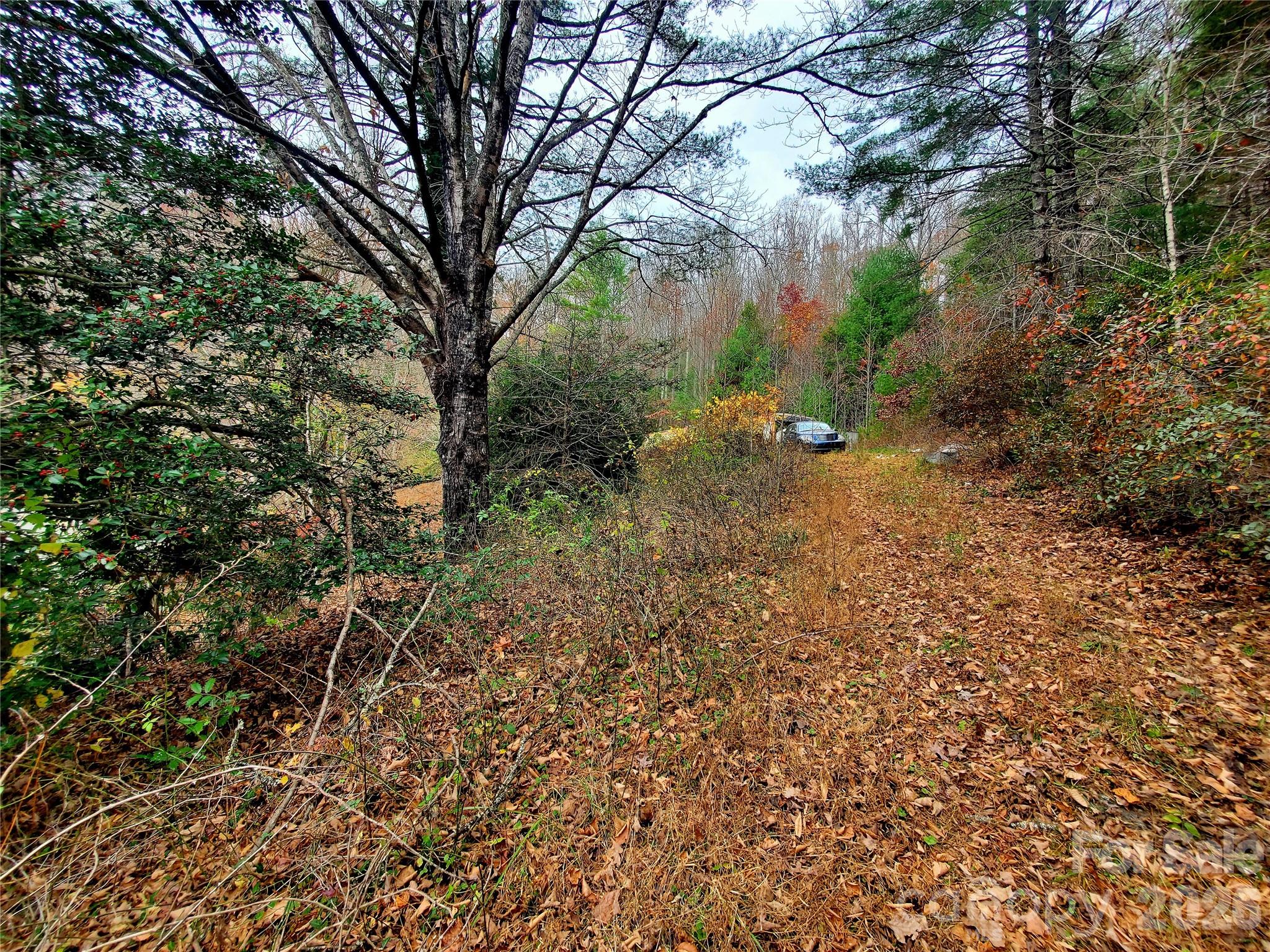 2701 Gouges Creek Road Spruce Pine NC 28777