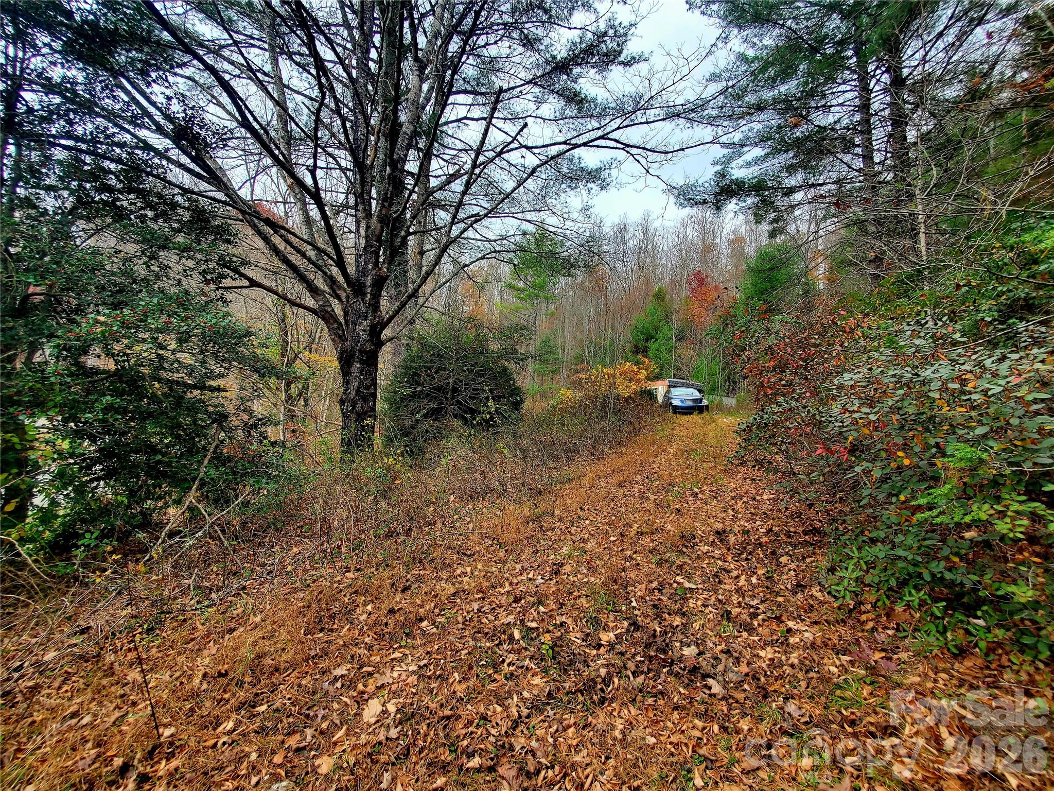 2701 Gouges Creek Road Spruce Pine NC 28777