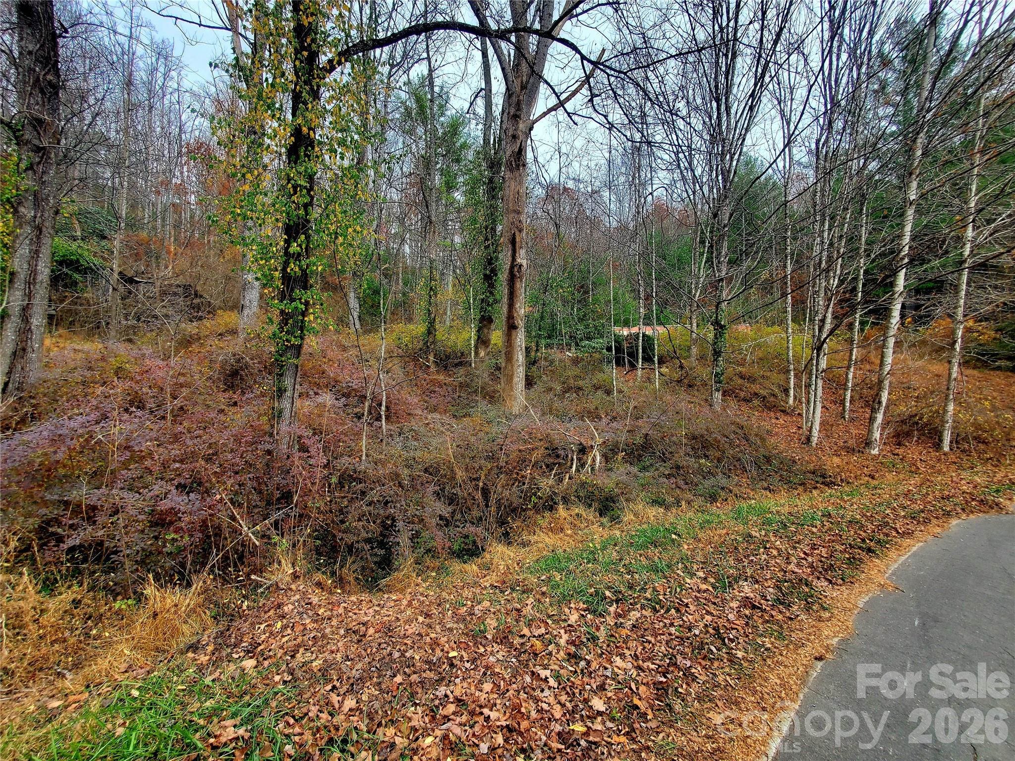 2701 Gouges Creek Road Spruce Pine NC 28777