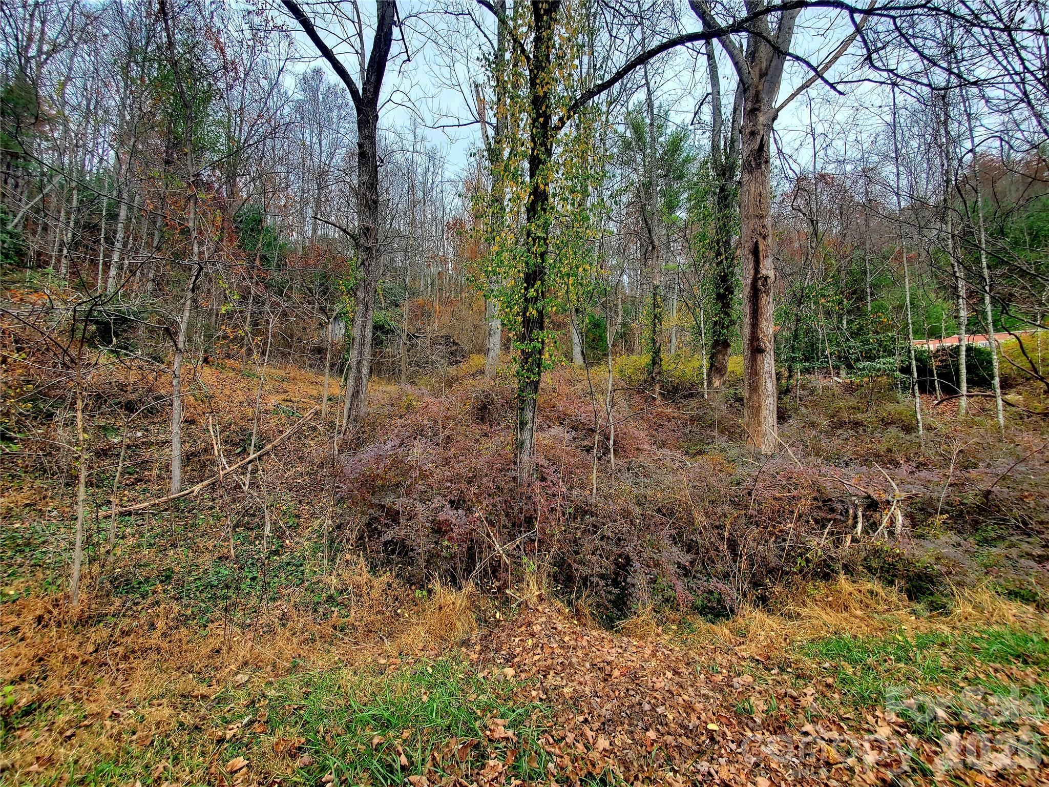 2701 Gouges Creek Road Spruce Pine NC 28777